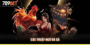 Các Thuật Ngữ Đá Gà