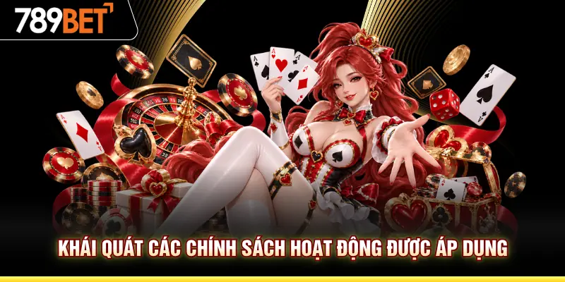 Khái quát các chính sách hoạt động được áp dụng