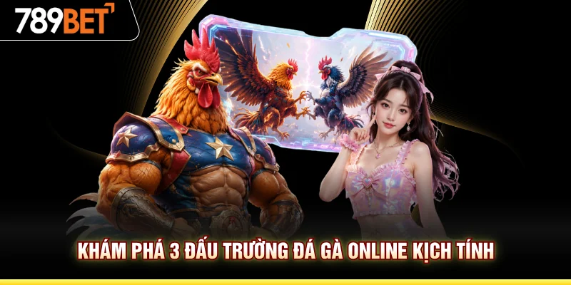 Khám phá 3 đấu trường đá gà online kịch tính
