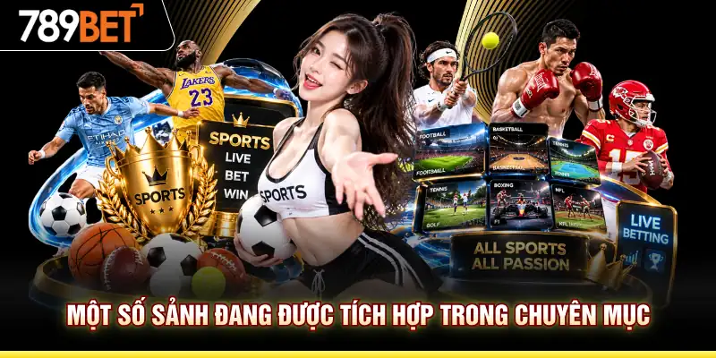 Một số sảnh đang được tích hợp trong chuyên mục