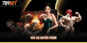 Vảy Gà Huyền Trâm